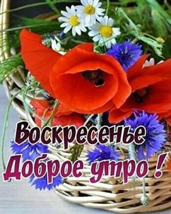 Луч света в ваш день