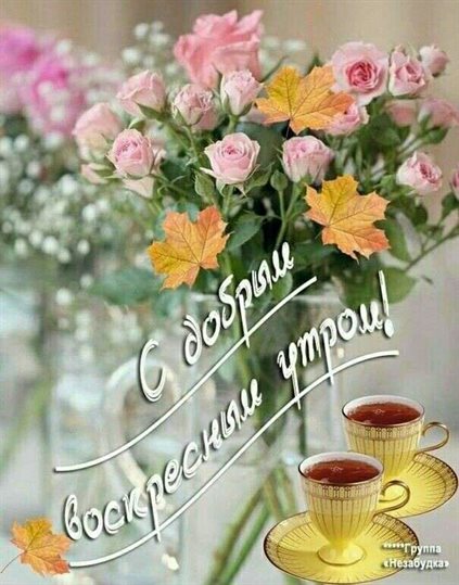Теплые слова для Открытки с добрым утром воскресенья