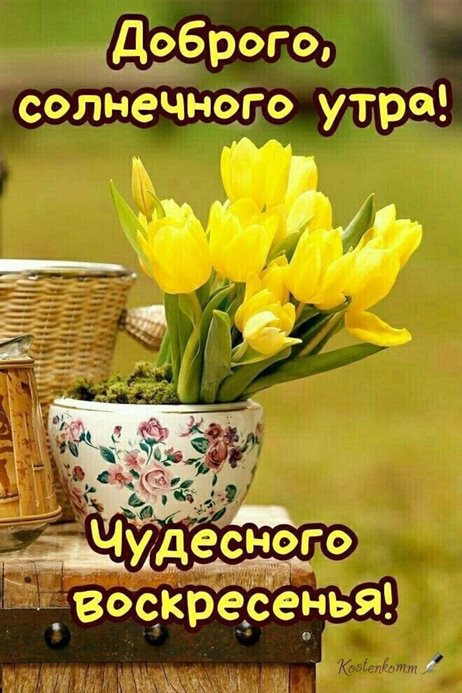 Светлые пожелания