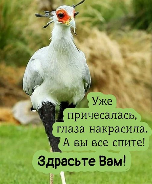 Тепло и улыбки