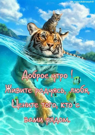 Пусть радость будет с вами