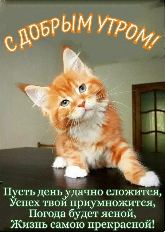 Счастья и удачи