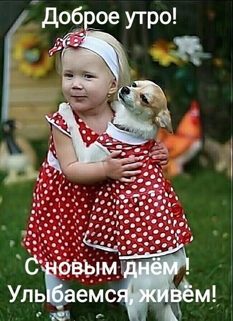 Красивая открытка для Открытки с добрым утром прикольные бесплатно