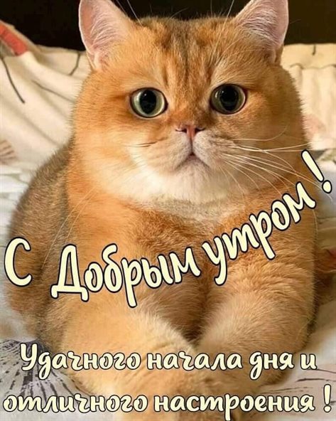 Луч света в ваш день