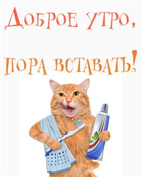 Улыбок, любви и тепла