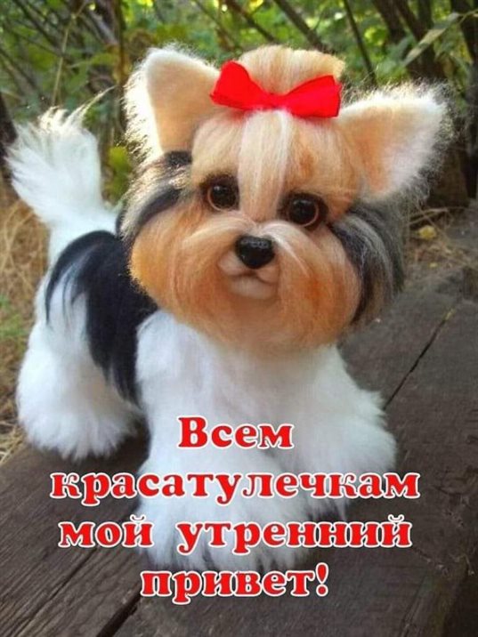 Яркая открытка для вас