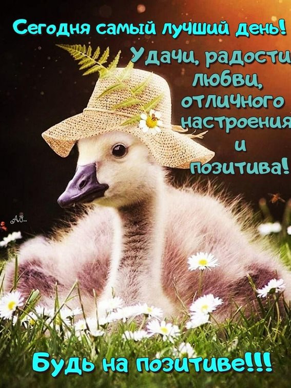 Пусть будет весело и светло