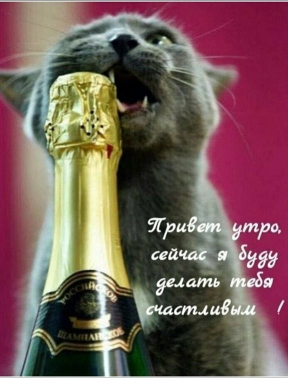 Счастья и удачи