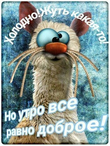 Луч света в ваш день