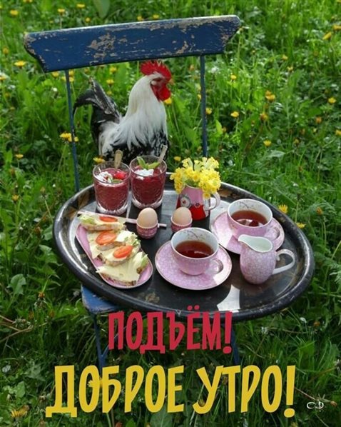 Позитивные эмоции для Открытки с добрым утром прикольные бесплатно