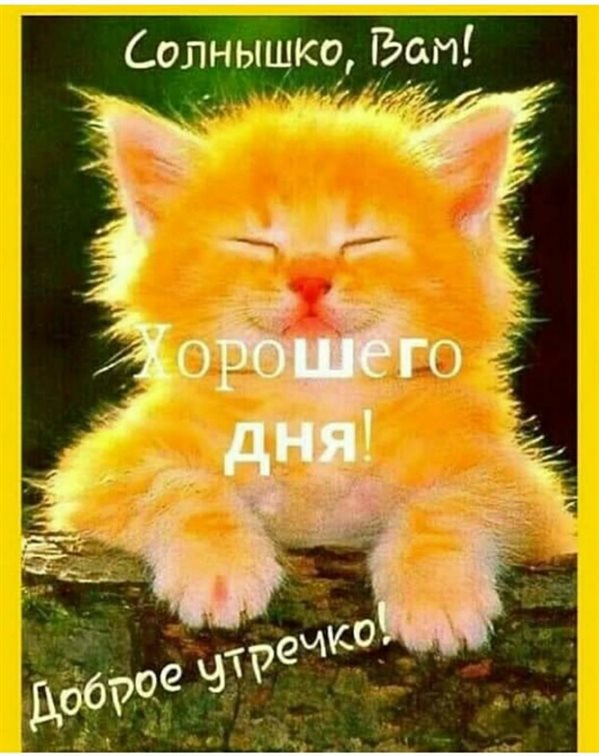 Подарите улыбку: Открытки с добрым утром прикольные бесплатно