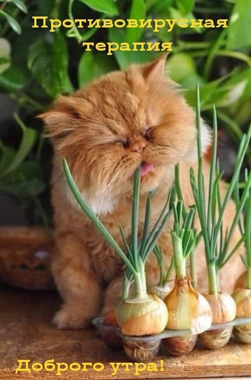 Пусть каждый день дарит счастье