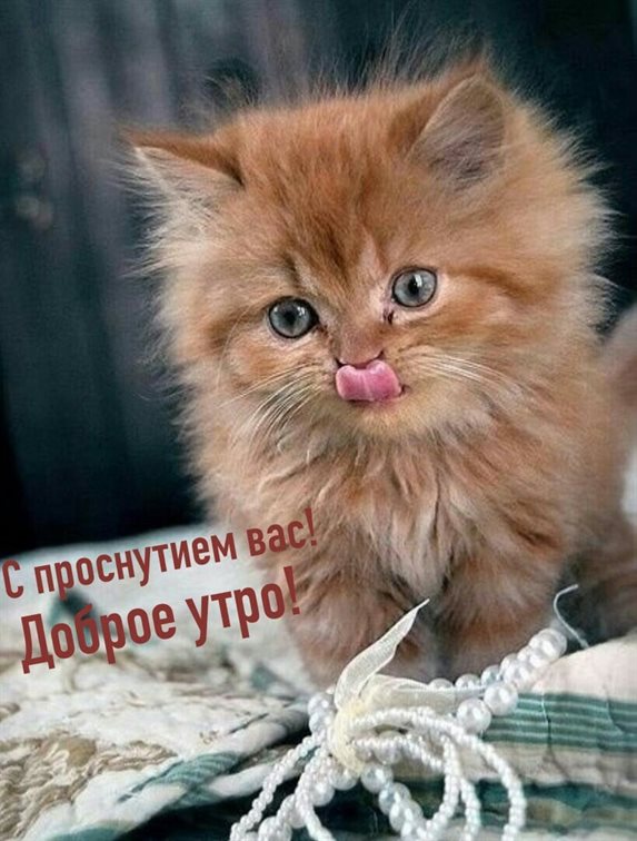 Пусть в жизни будет больше праздников