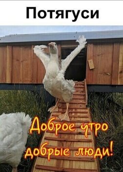 Луч света в ваш день