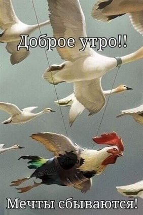 Лучшие пожелания