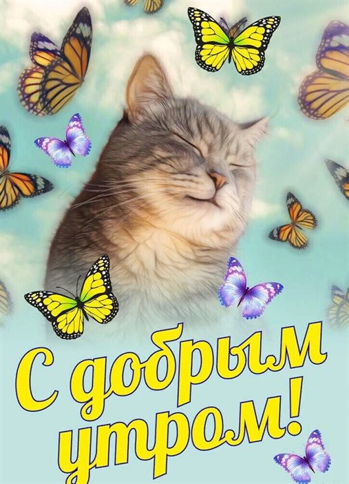 Доброта и забота