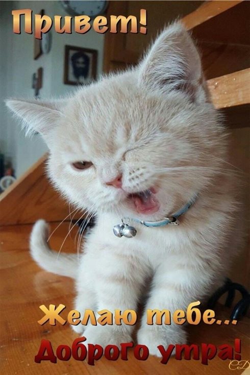 Нежность и внимание