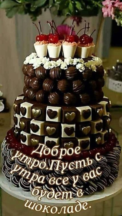 Открытки с добрым утром прикольные бесплатно — прекрасный выбор!