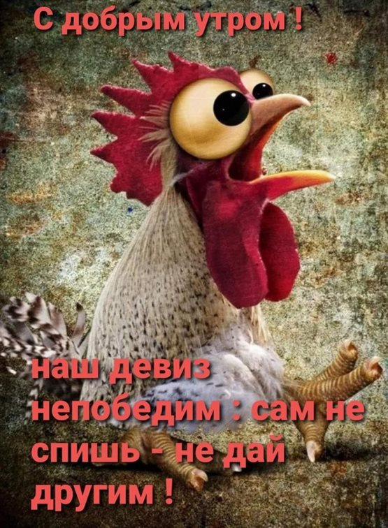 Открытки с добрым утром прикольные бесплатно — прекрасный выбор!