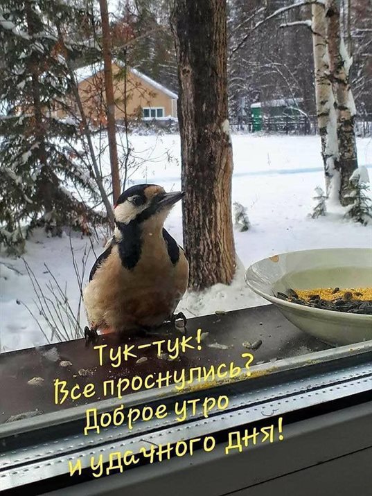 Пусть день будет незабываемым