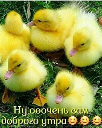 Тепло и счастье в каждом моменте