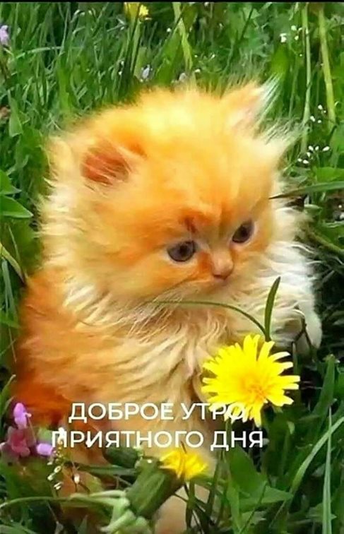 Пусть день будет незабываемым