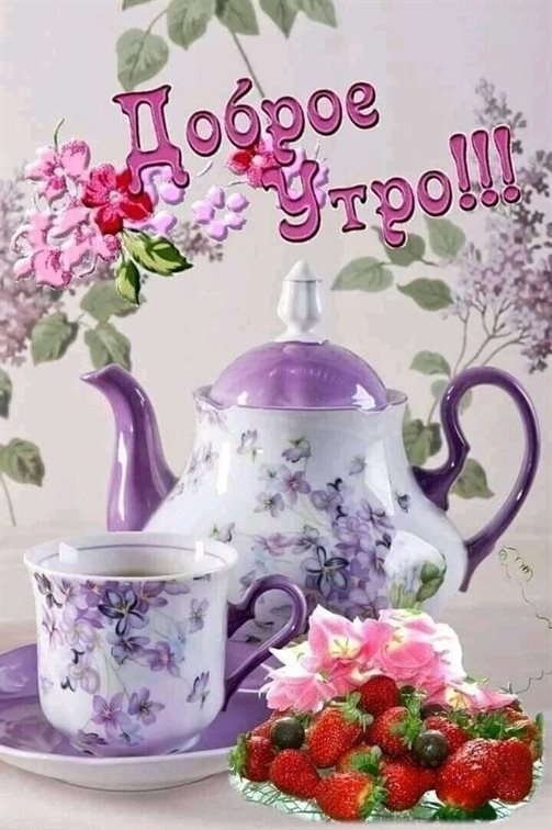 Немного тепла и заботы