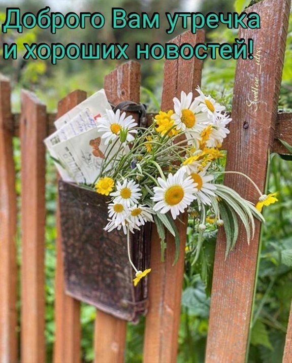 Счастья и удачи