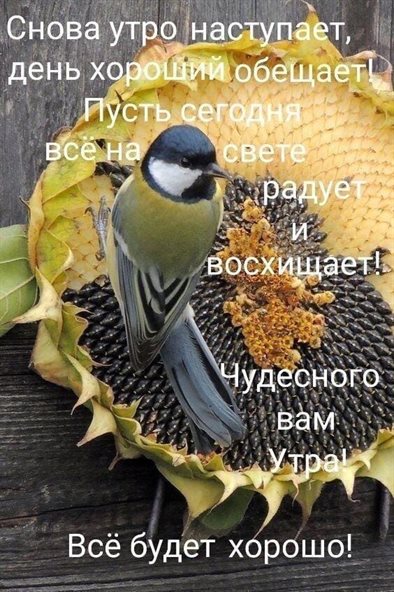 Теплые поздравления