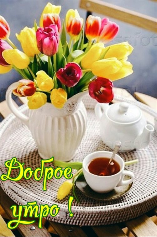 Тепло и счастье в каждом моменте