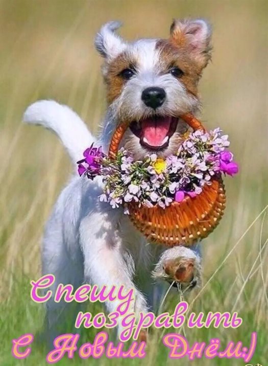 Пусть улыбка не сходит с лица