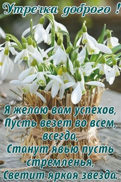 Милая открытка для вас