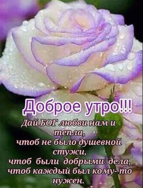 Красивая открытка для Открытки с добрым утром красивые бесплатно