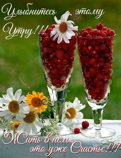 Открытки с добрым утром красивые бесплатно — прекрасный выбор!