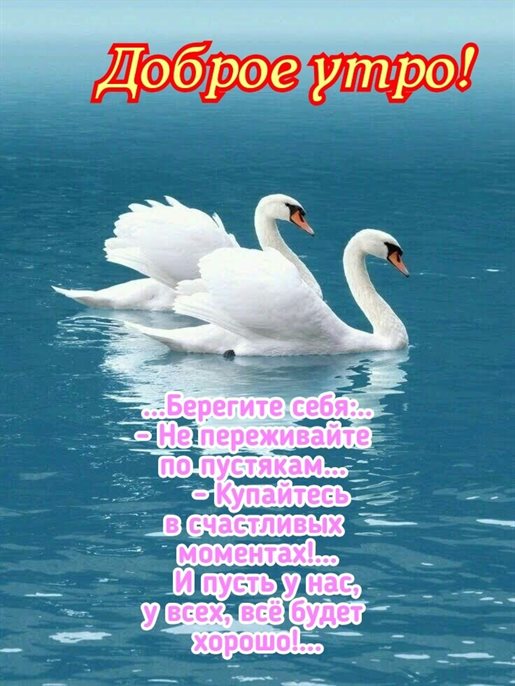 Теплые слова для Открытки с добрым утром красивые бесплатно