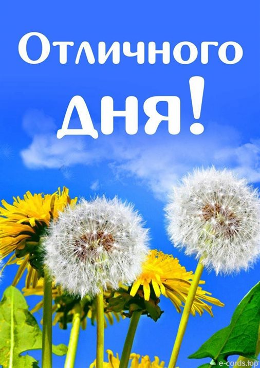 Немного тепла и заботы