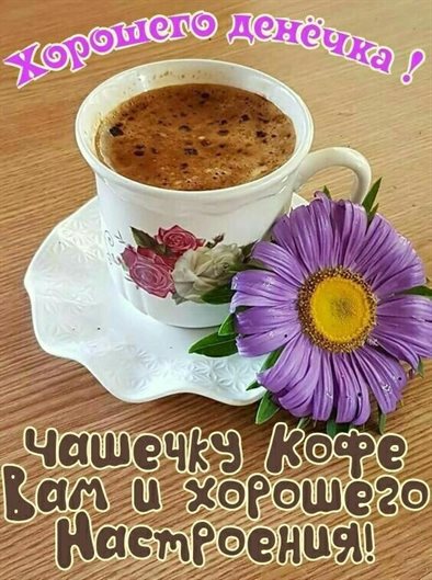 Яркие пожелания для Открытки с добрым утром красивые бесплатно