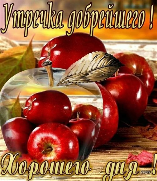 Нежность и внимание