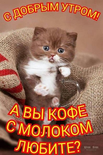 Особенная открытка для Открытки с добрым утром красивые бесплатно