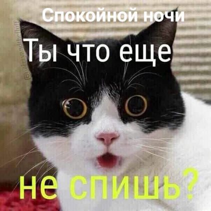 Тепло и счастье в каждом моменте