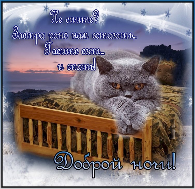 Теплые поздравления