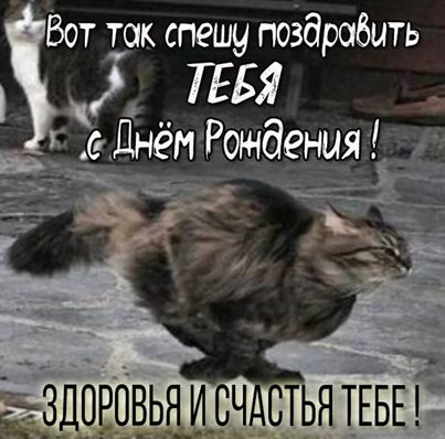 Тепло и счастье в каждом моменте