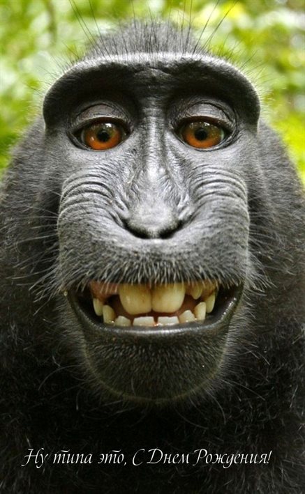 Пусть улыбка не сходит с лица