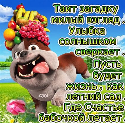 Подарите улыбку: Открытки с днем рождения прикольные с пожеланиями