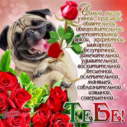 Тепло и улыбки