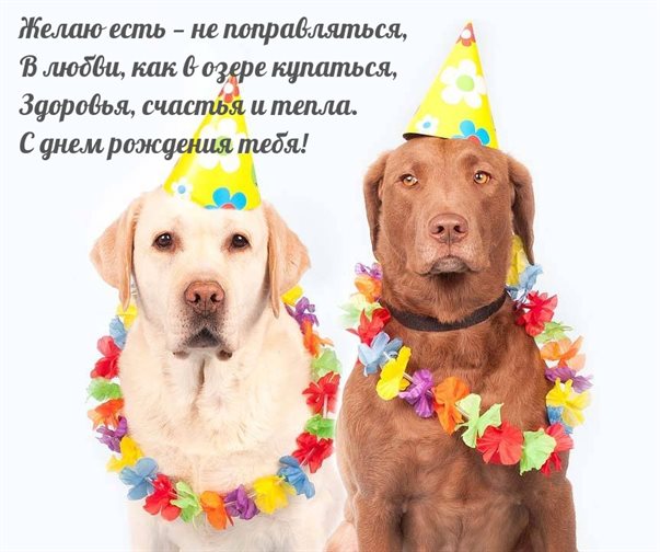 От всей души и сердца