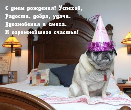 С наилучшими пожеланиями