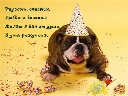 Подарите улыбку: Открытки с днем рождения прикольные с пожеланиями