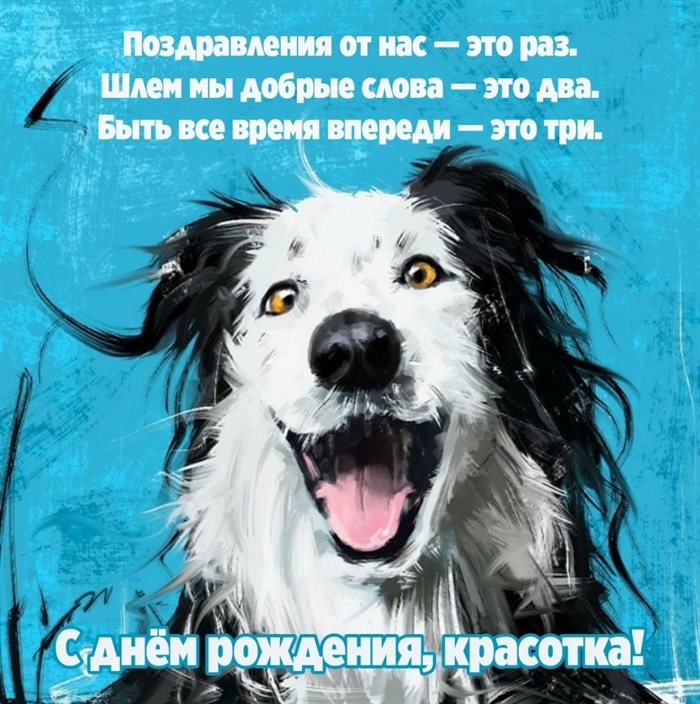 От души: Открытки с днем рождения прикольные с пожеланиями