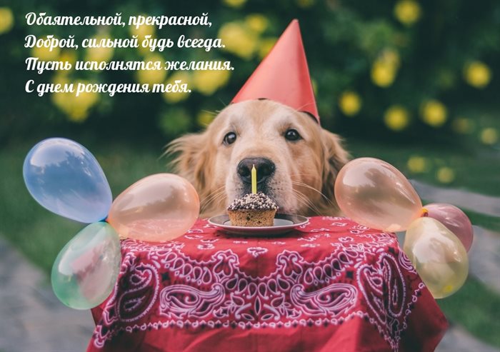 Больше радости в жизни